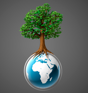 Image result for focus on the environment